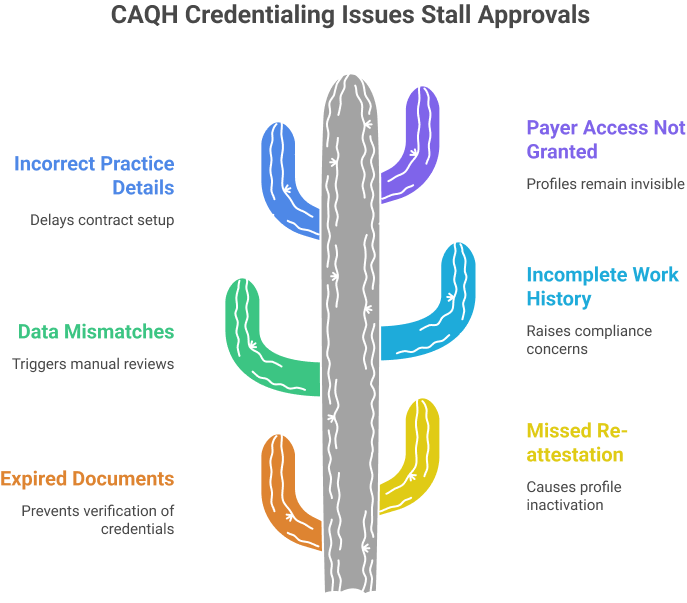 Common CAQH Credentialing Errors That Delay Enrollment