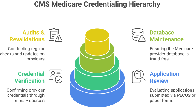 CMS Medicare Credentialing Hierarchy