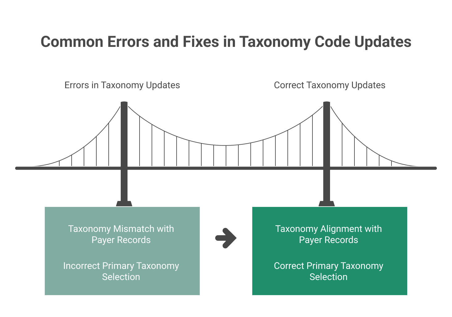 How to change/update taxonomy code for NPI: Updated Guide