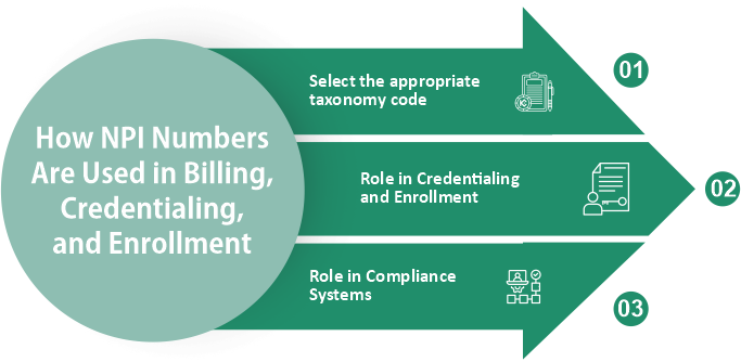 How NPI Numbers Are Used in Billing, Credentialing, and Enrollment