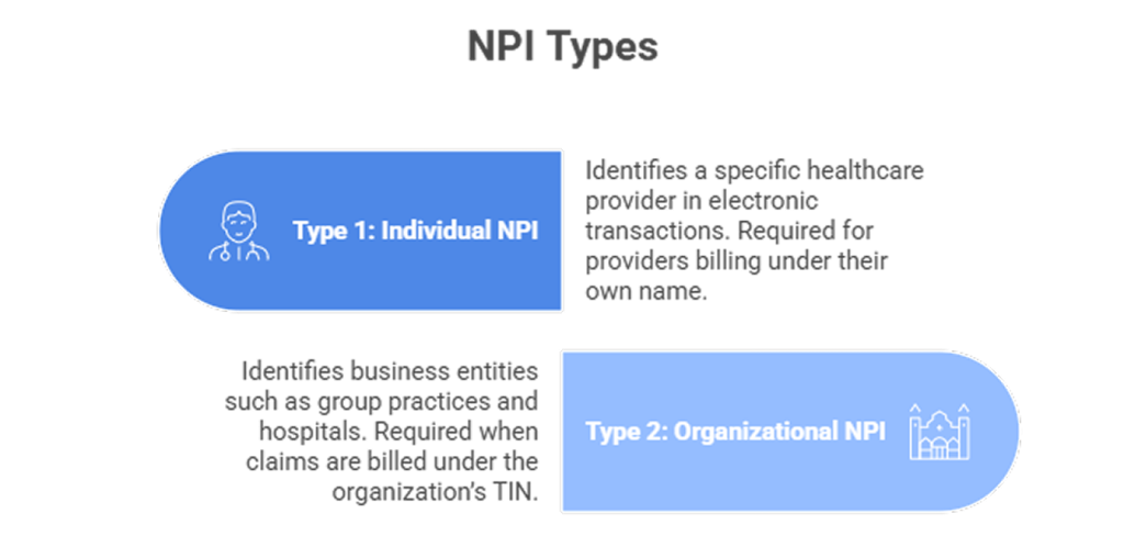 NPI Type 1 vs Type 2 