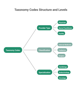 What is a Taxonomy Code in Medical Billing & NPI Guide