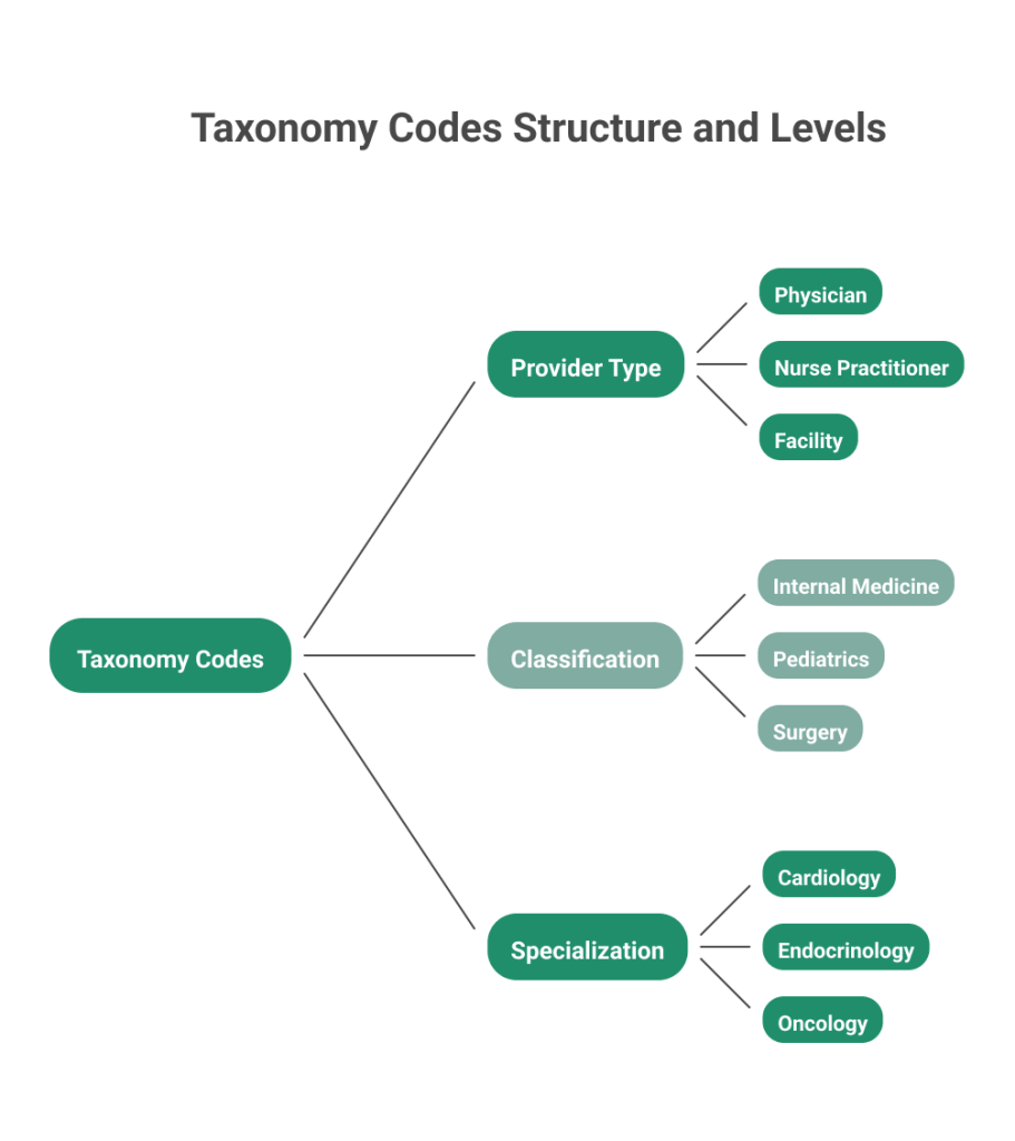 Three Levels of Taxonomy Codes